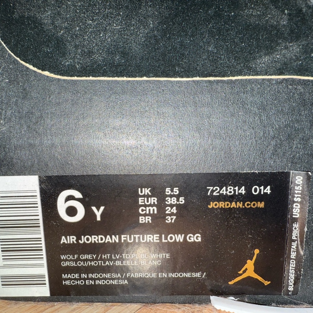 Air Jordan Future Low GG in Wolf Grey and White